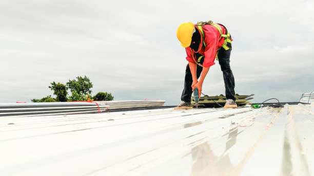 Best Chimney Flashing Repair  in Clinton, WI